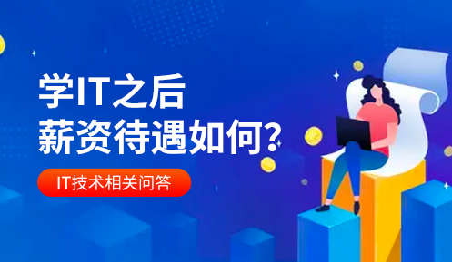 编程师一个月能赚多少